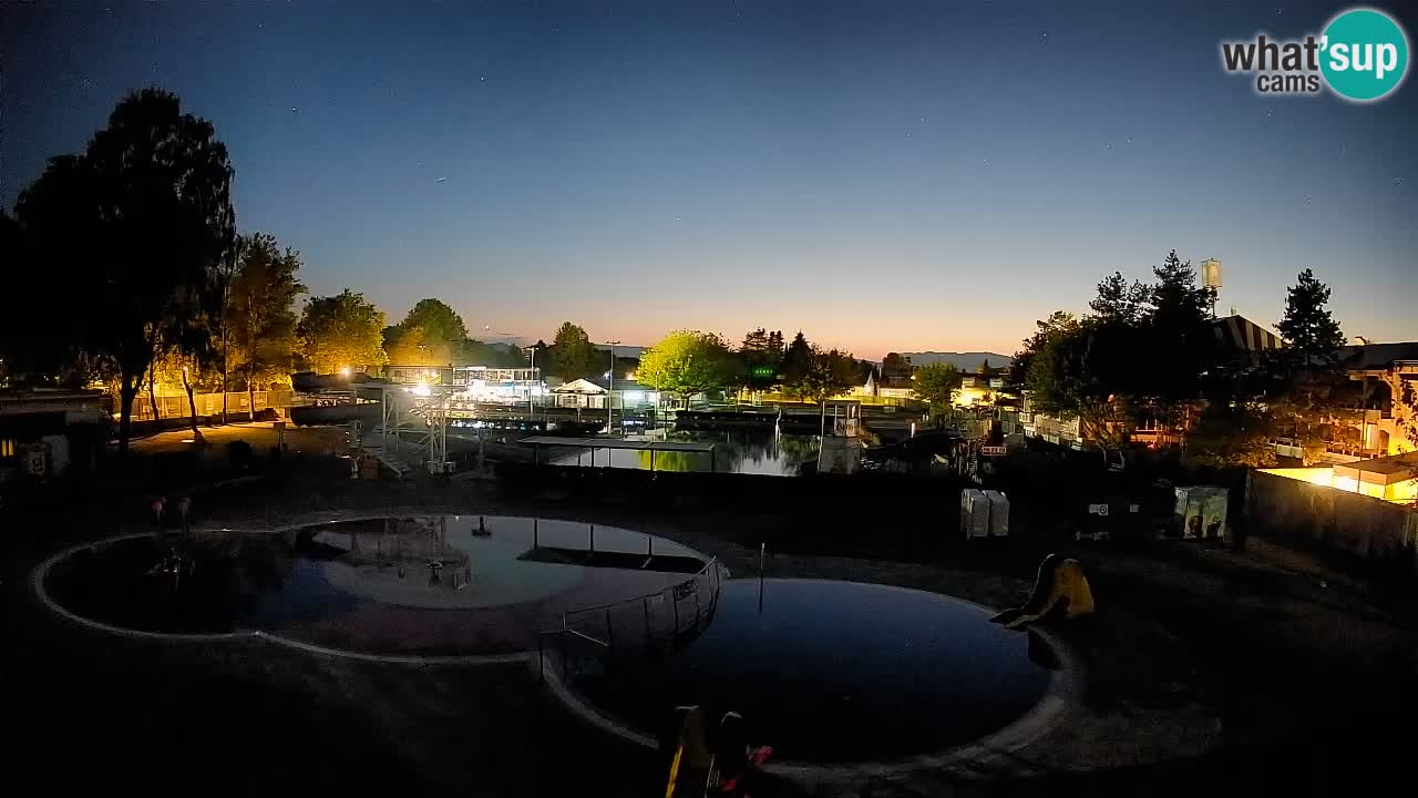 Celje – Piscine d’été
