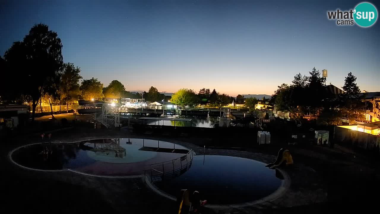 Celje – Piscina estiva