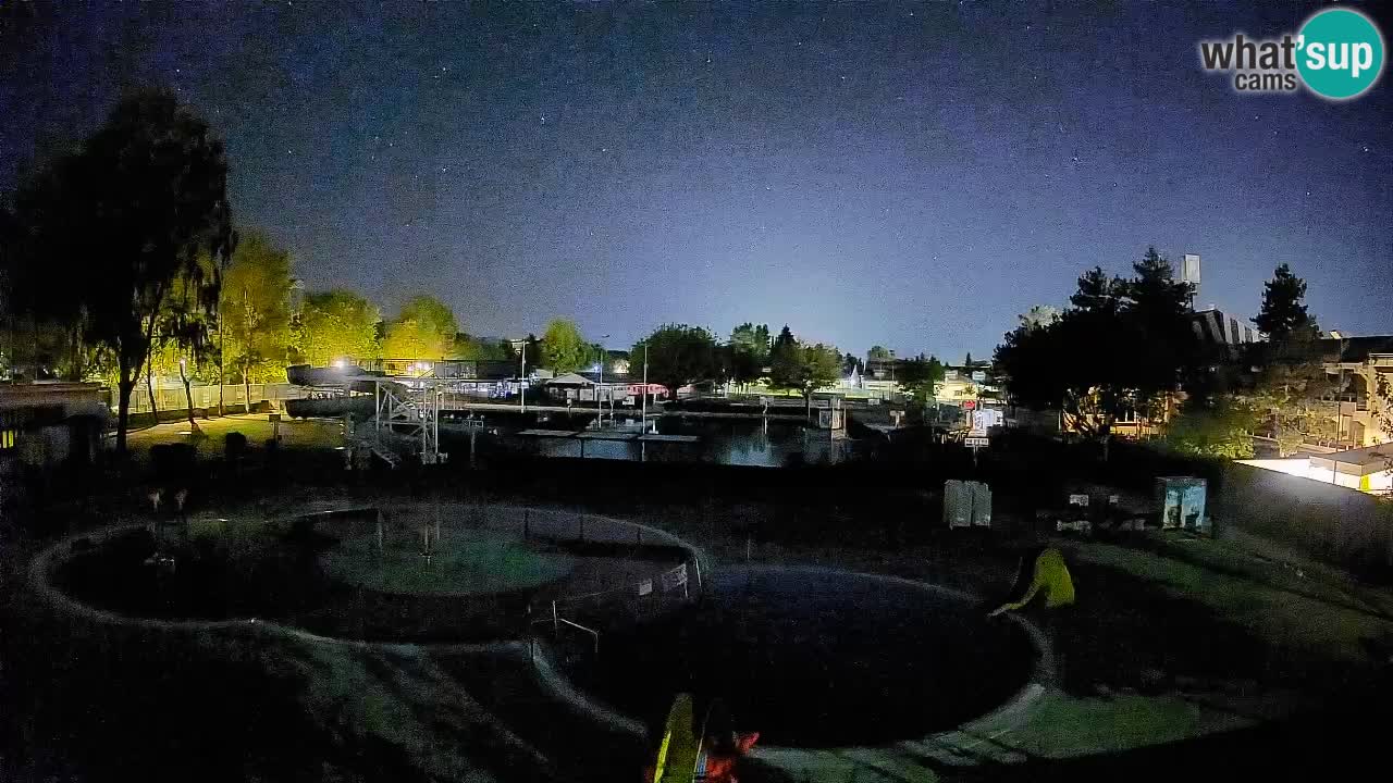 Celje – Piscine d’été