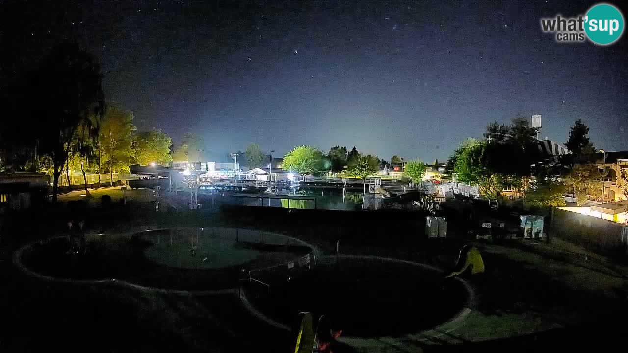 Celje – Piscina estiva