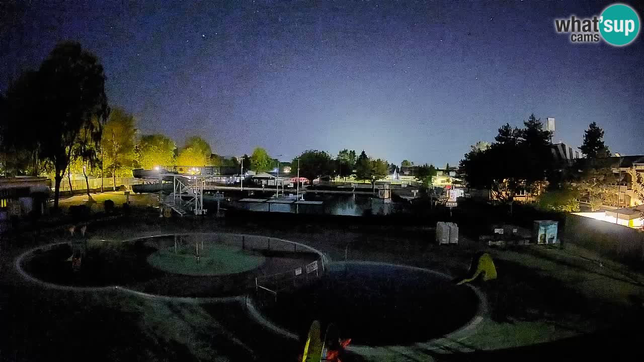 Celje – Piscina estiva