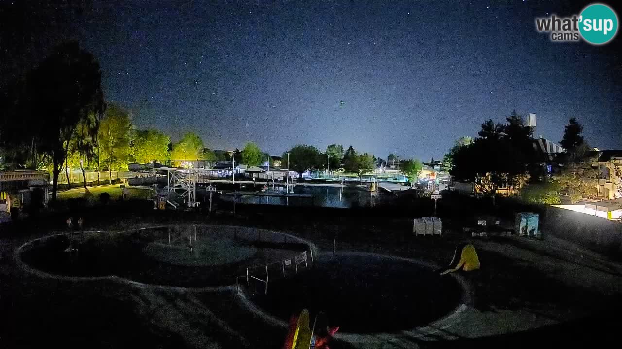 Celje – Piscine d’été