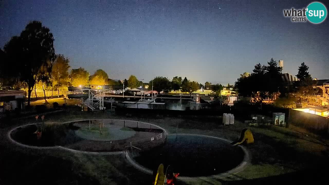 Celje – Piscina estiva