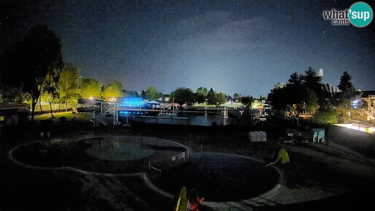 Celje summer open-air swimming pool