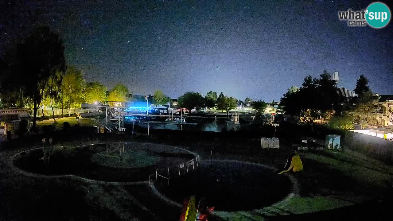 Celje – piscina al aire libre