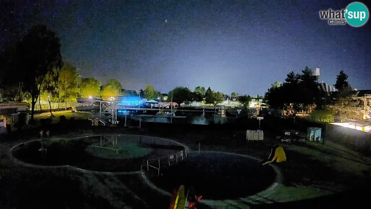 Celje – Letno kopališče
