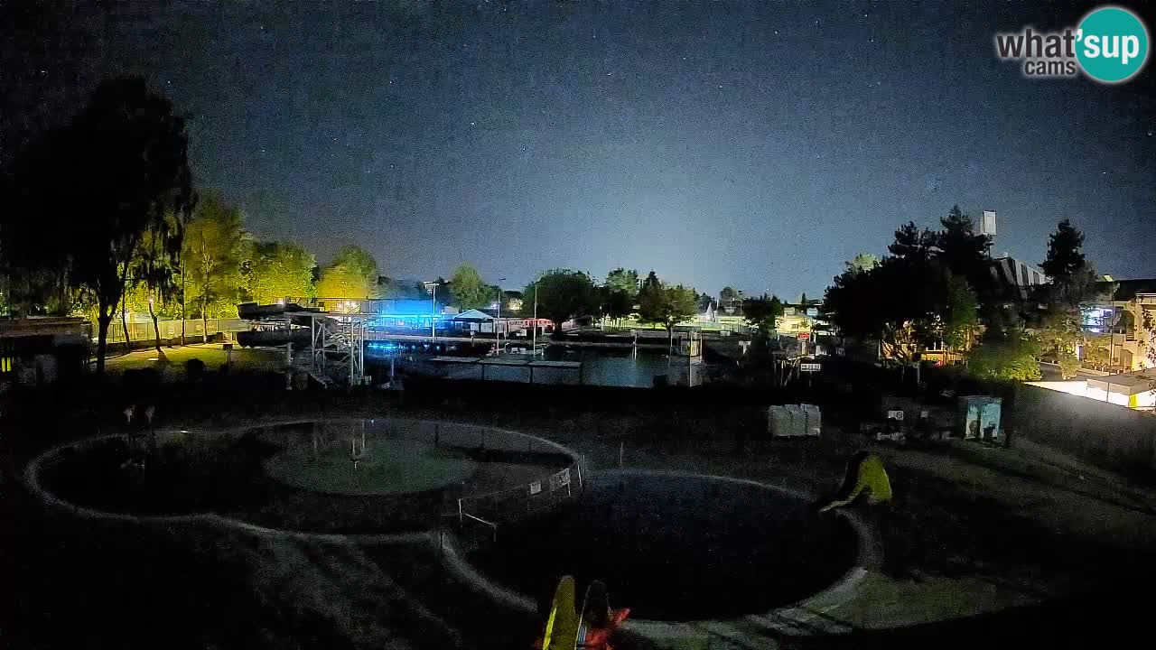 Celje – Piscina estiva