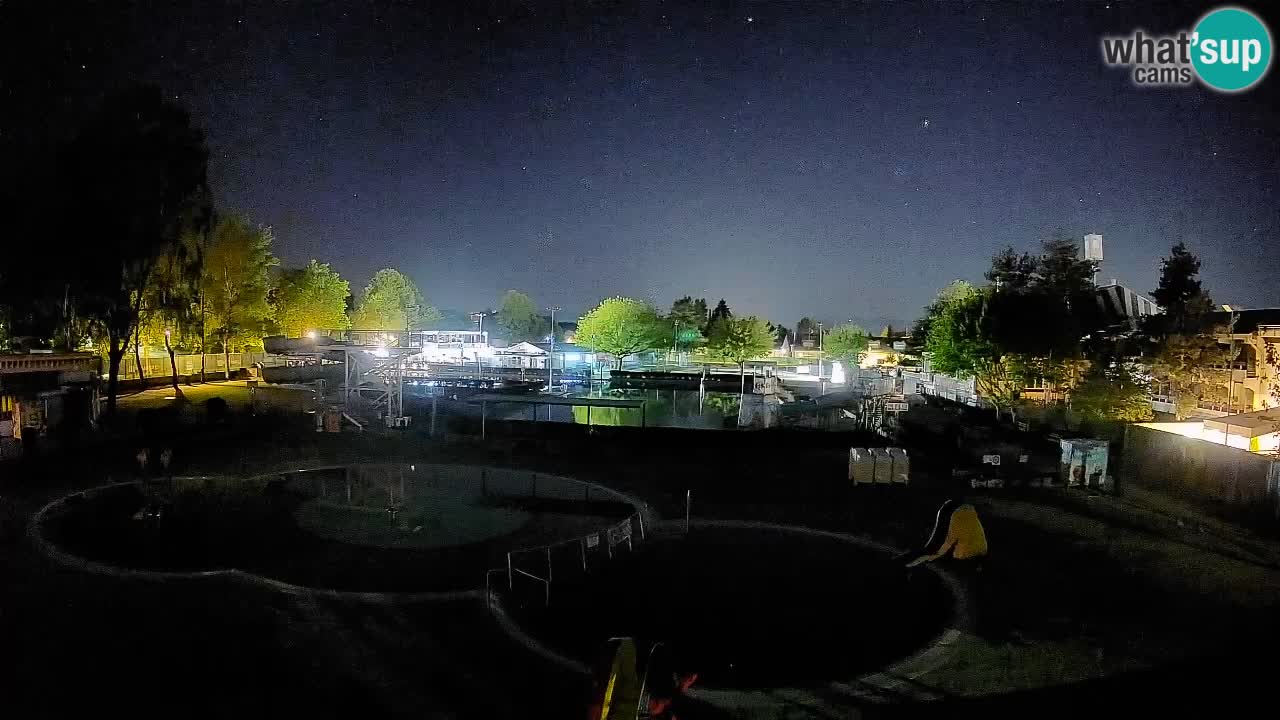 Celje – Piscine d’été