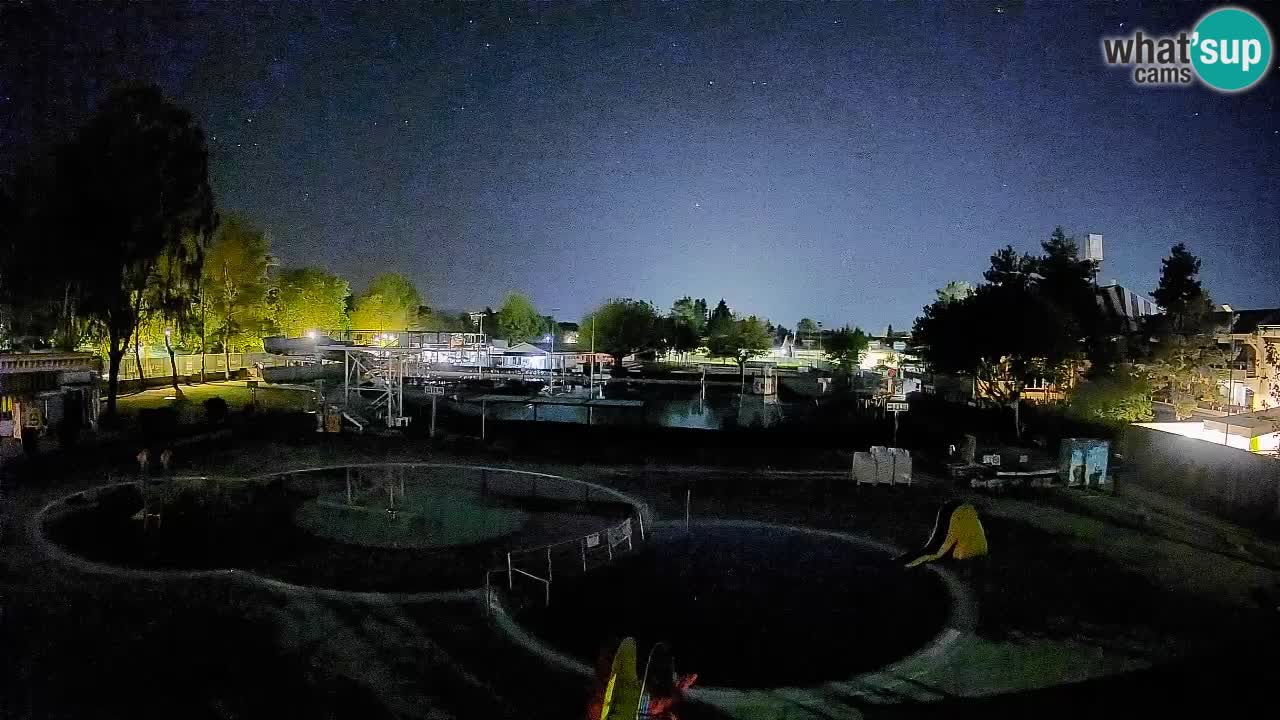 Celje summer open-air swimming pool