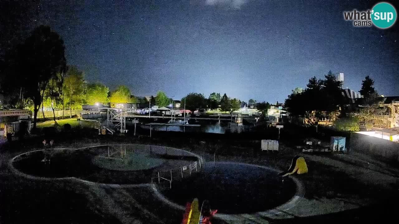 Celje summer open-air swimming pool