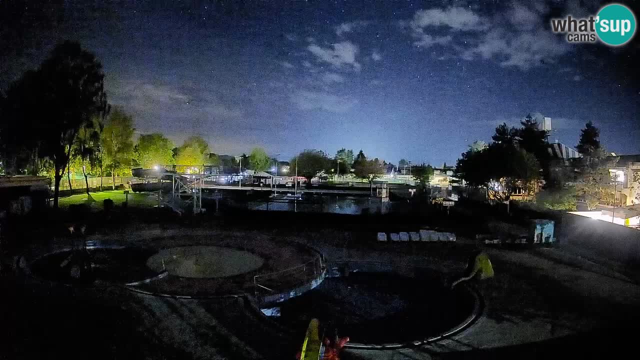 Celje summer open-air swimming pool