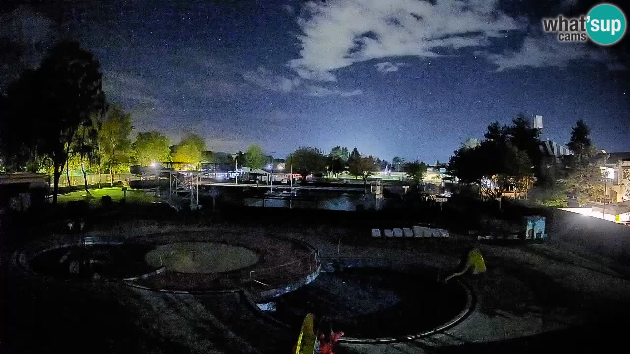 Celje summer open-air swimming pool