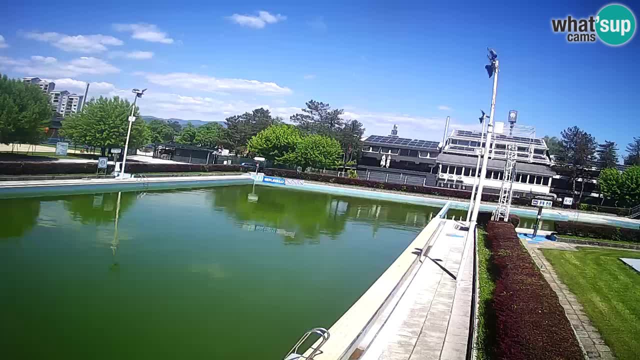 Webcam Celje – Main swimming pool