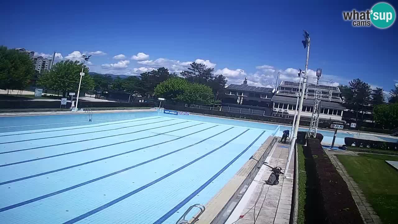 Webcam Celje – Main swimming pool