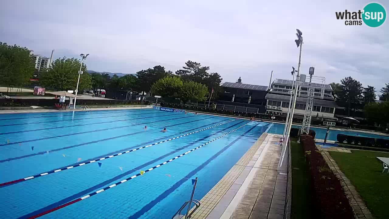 LiveCam Celje – Piscina principale