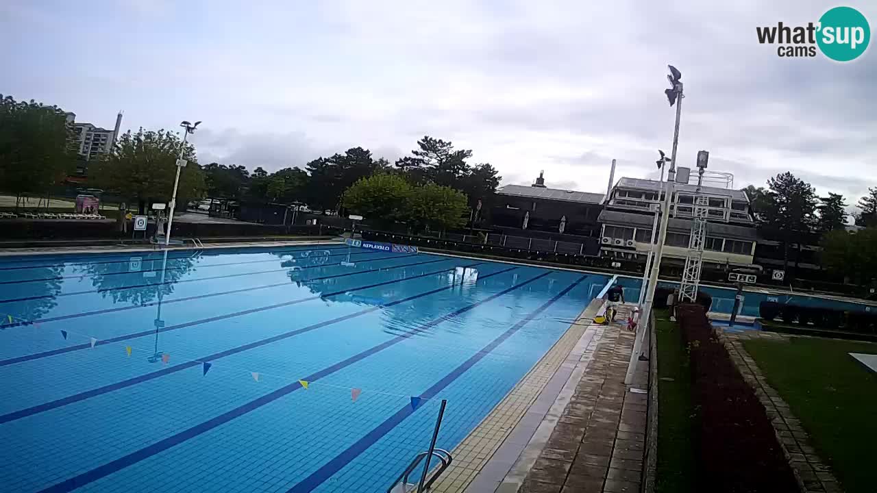 Webcam Celje – Main swimming pool