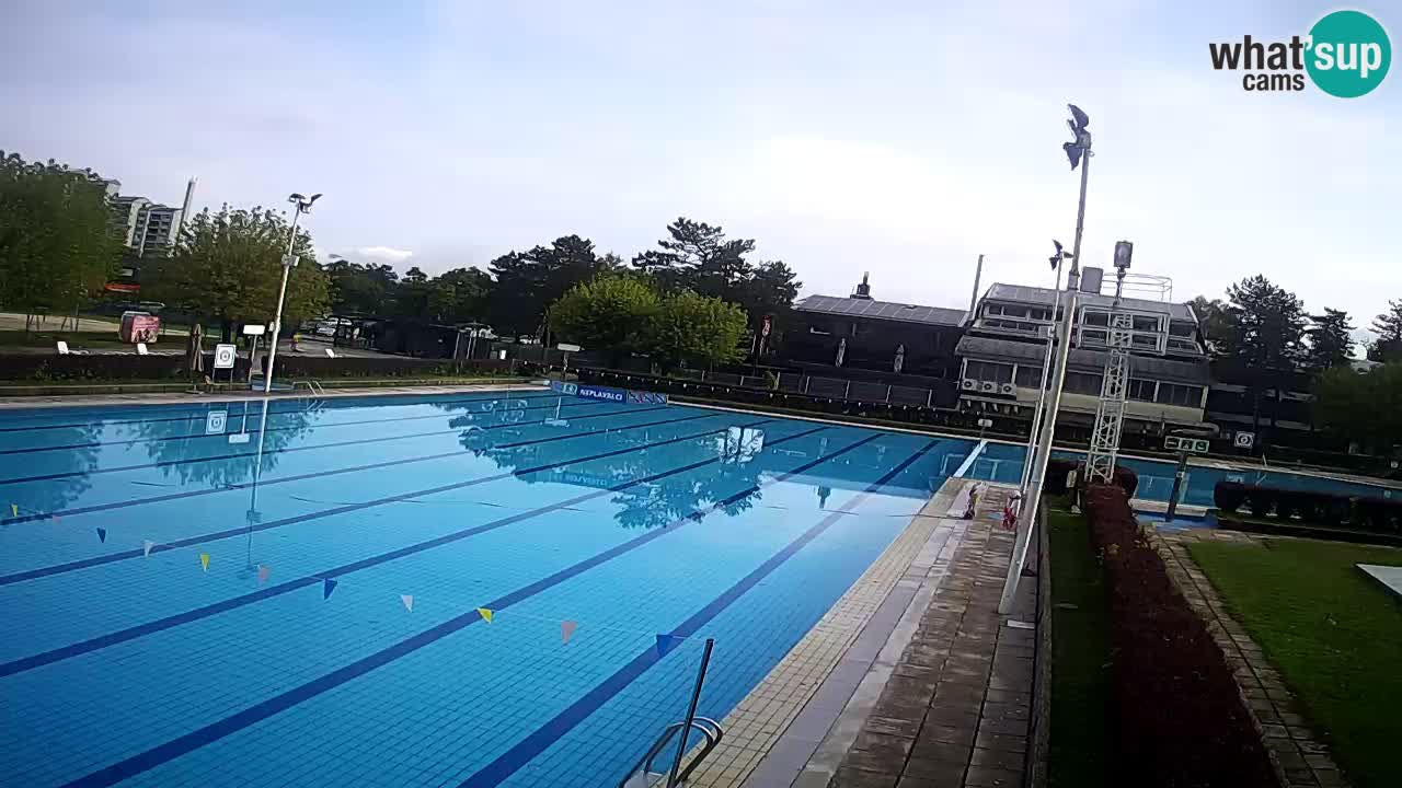 LiveCam Celje – Piscina principale