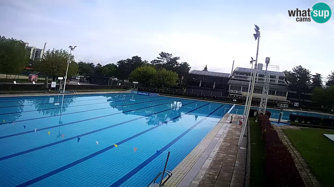 Webcam Celje – Main swimming pool