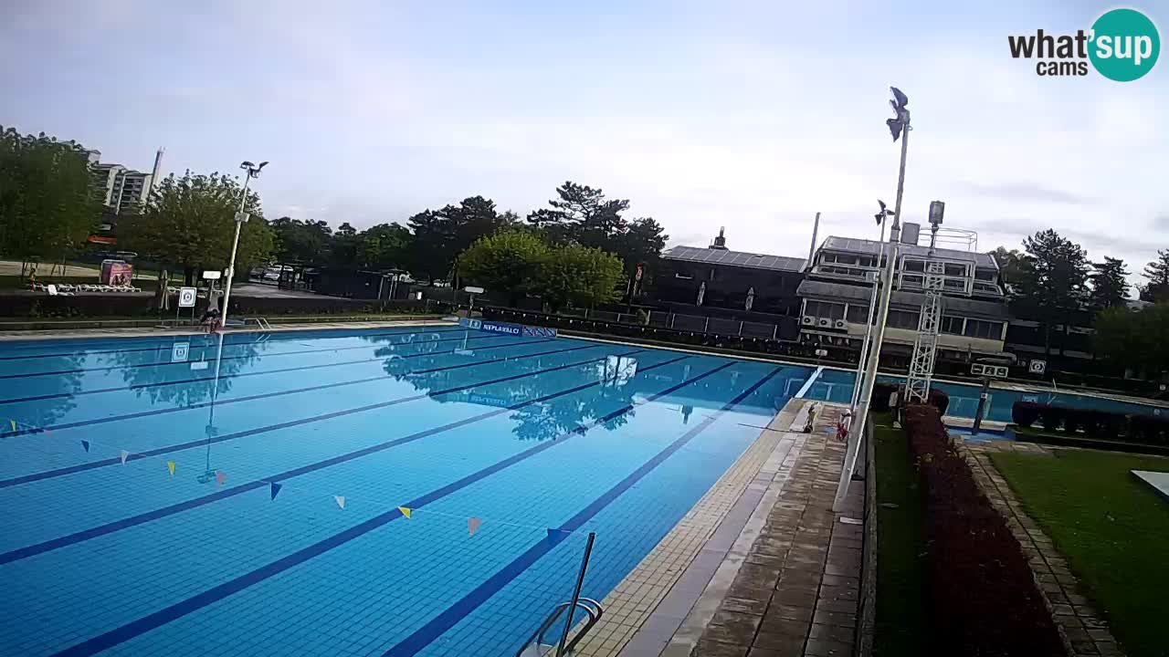 Webcam Celje – Main swimming pool