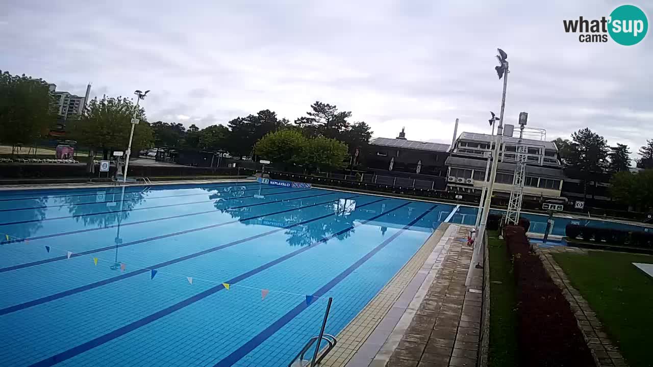 Webcam Celje – Main swimming pool