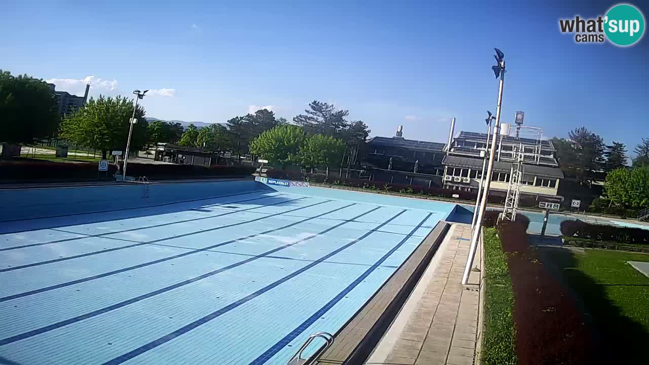 Webcam Celje – Main swimming pool