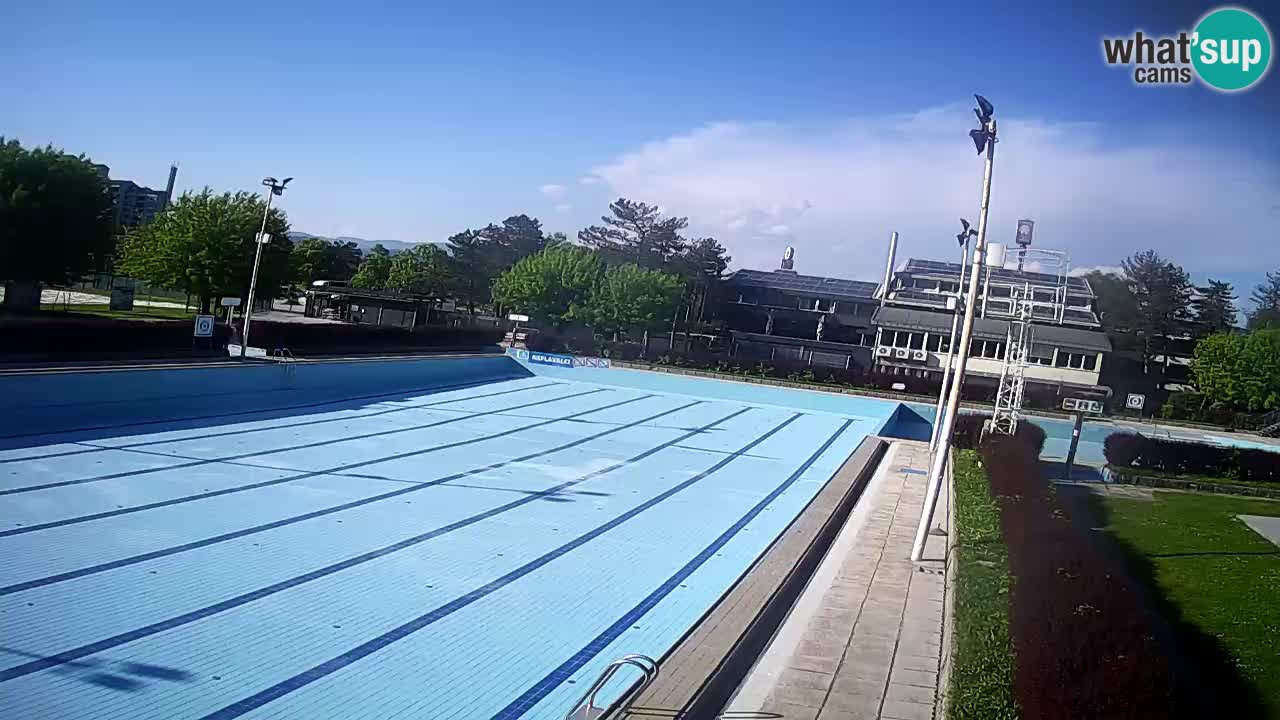Webcam Celje – Main swimming pool