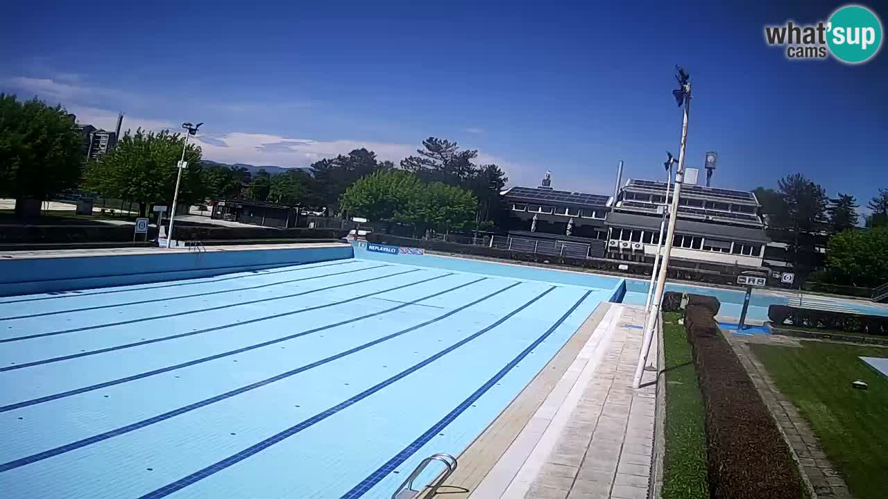Webcam Celje – Main swimming pool
