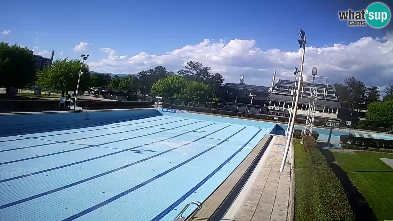 Webcam Celje – Main swimming pool