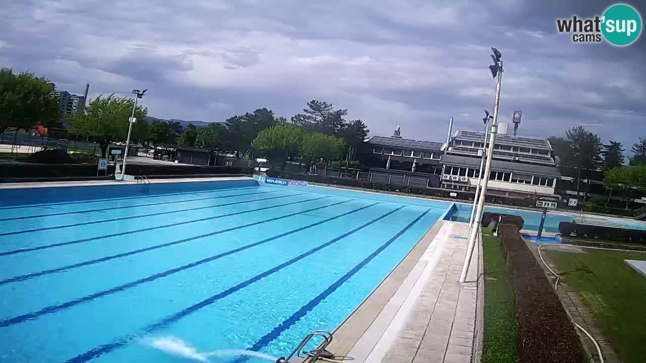 Webcam Celje – Main swimming pool