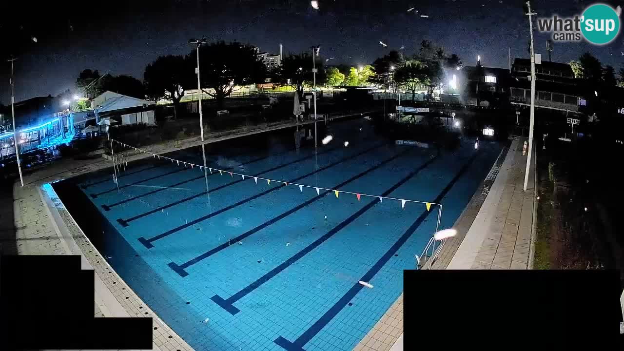 Webcam Celje – Main swimming pool
