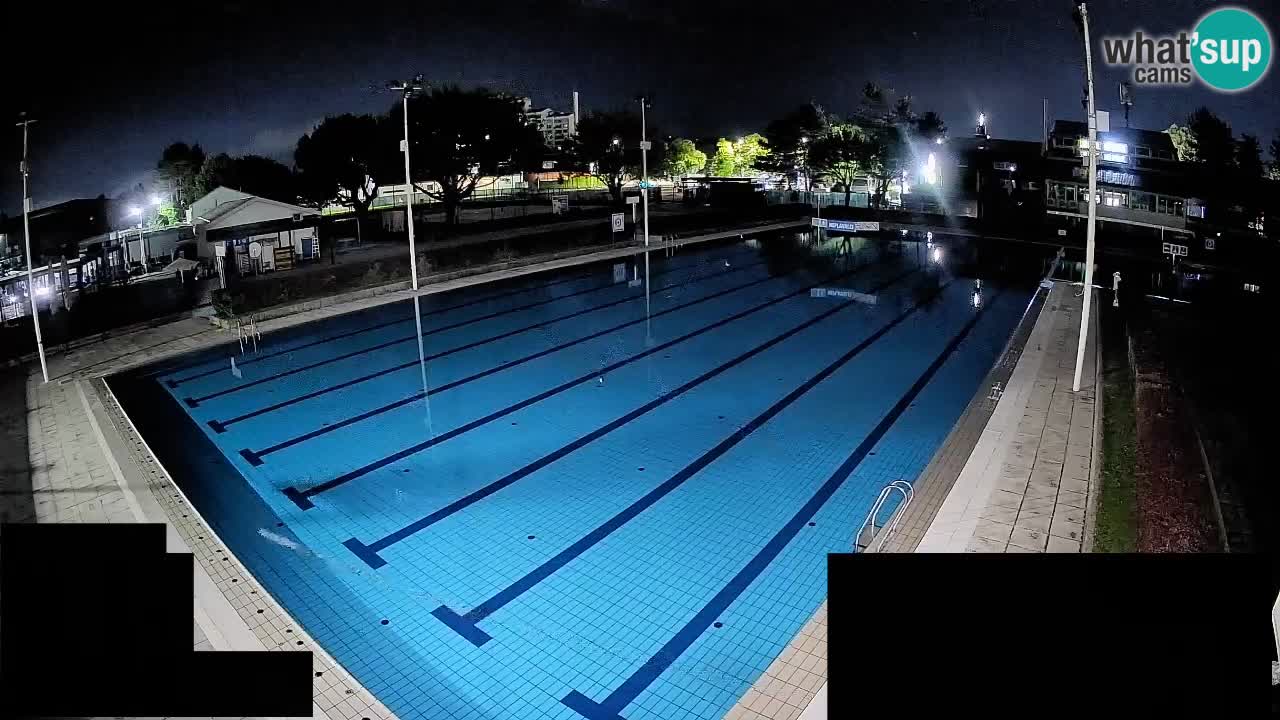 Webcam Celje – Main swimming pool