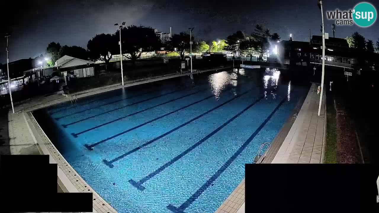 Webcam Celje – Main swimming pool