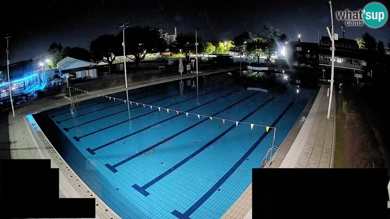 Webcam Celje – Main swimming pool
