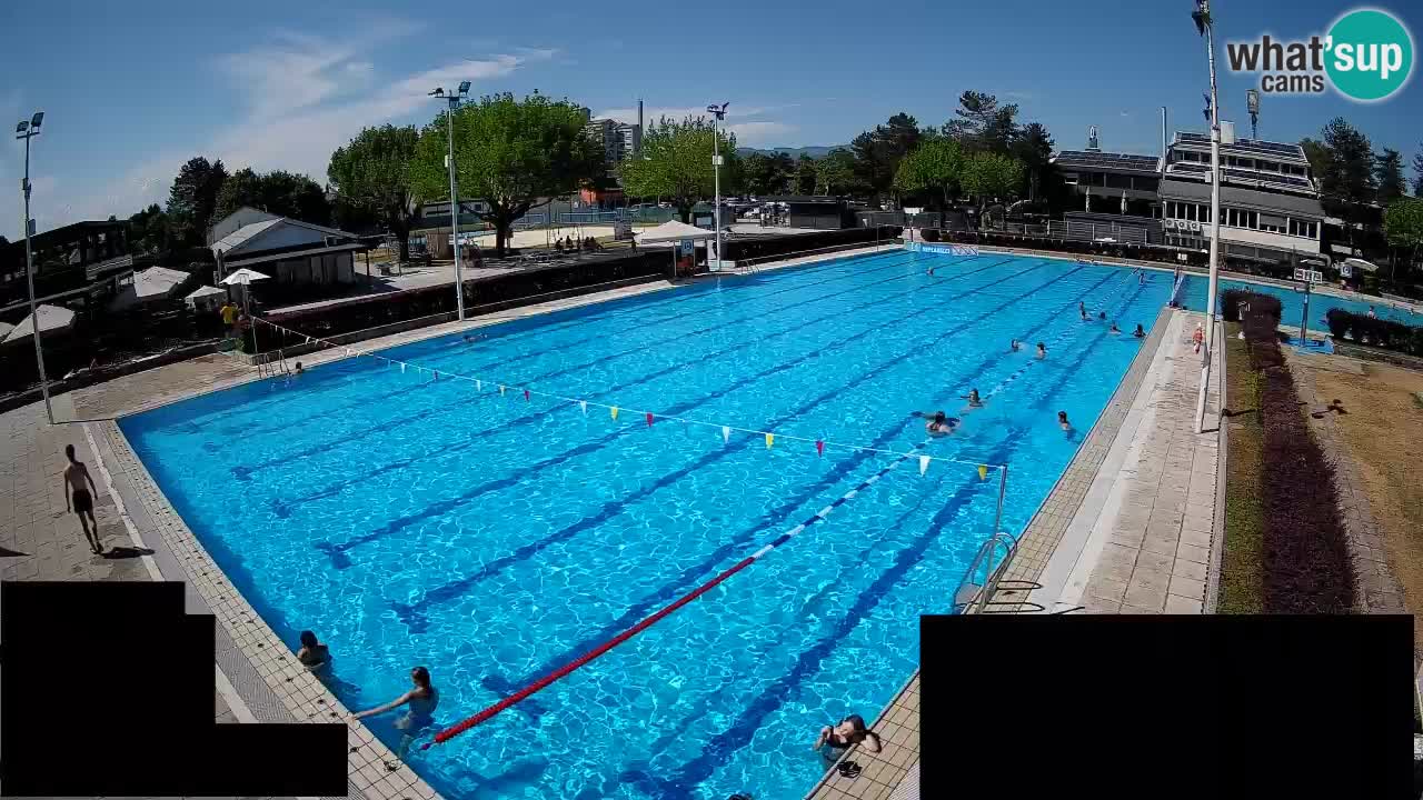Webcam Celje – Main swimming pool