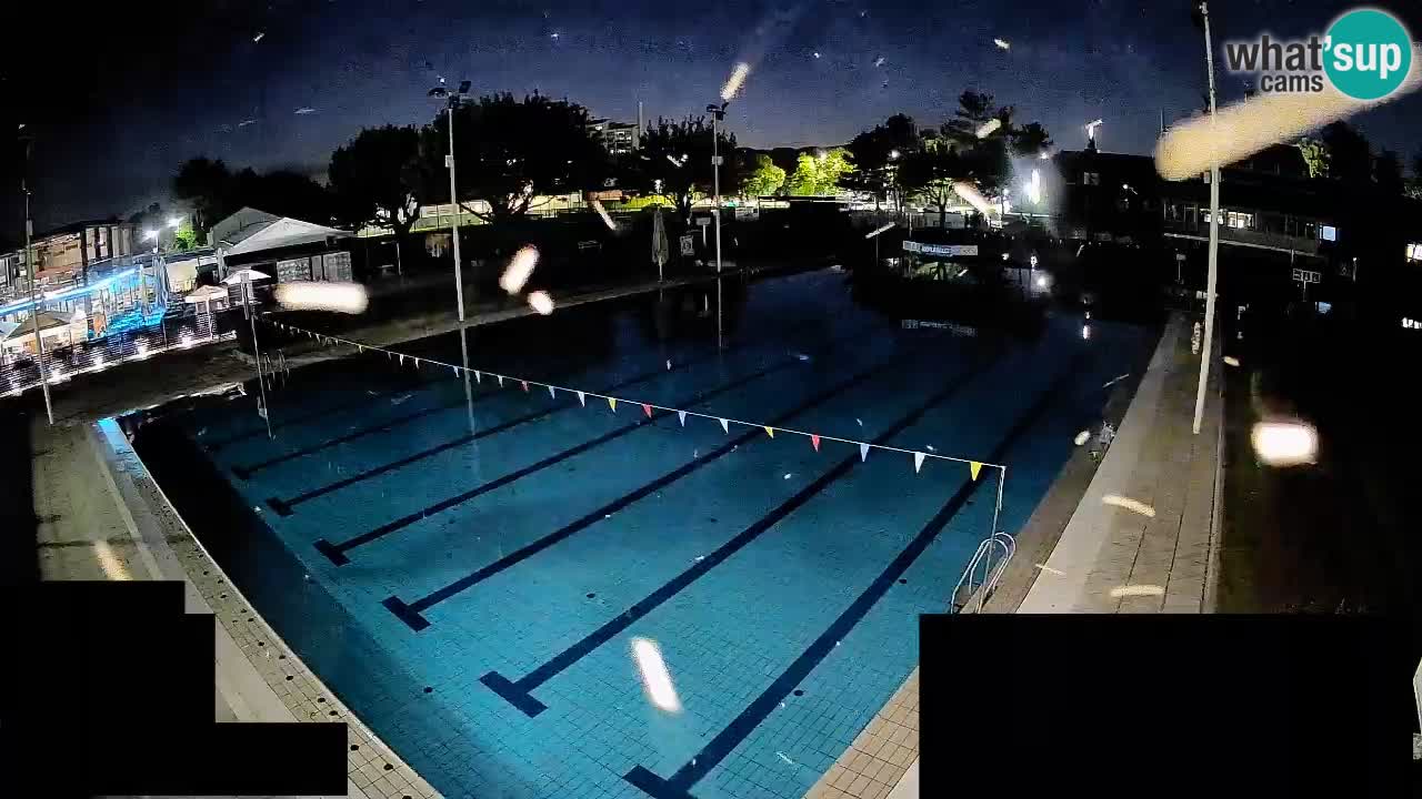Webcam Celje – Main swimming pool