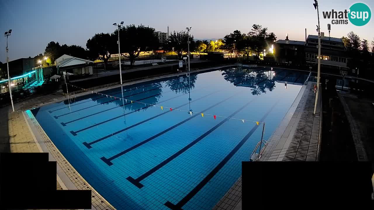 Webcam Celje – Main swimming pool