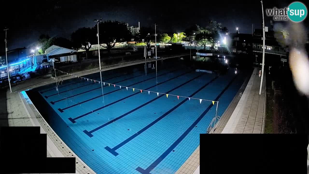 Webcam Celje – Main swimming pool