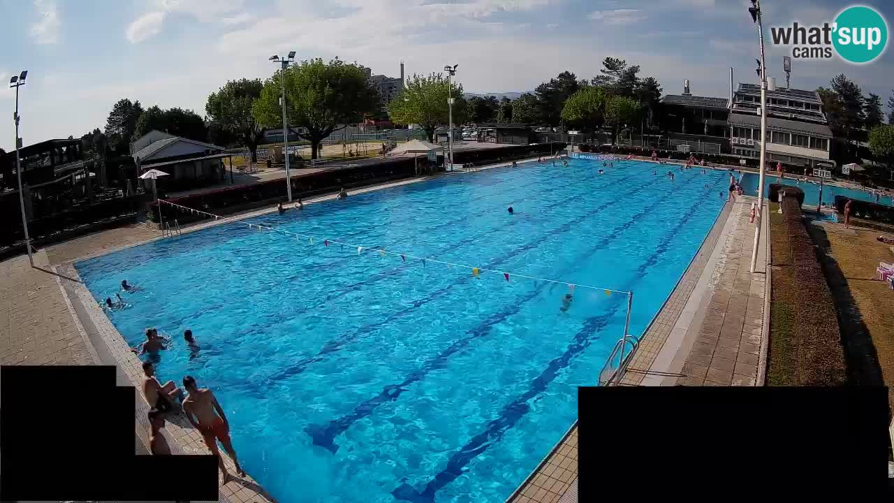 Webcam Celje – Main swimming pool