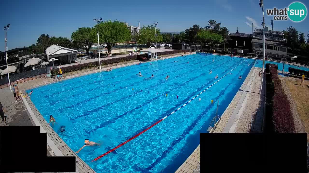 Webcam Celje – Main swimming pool