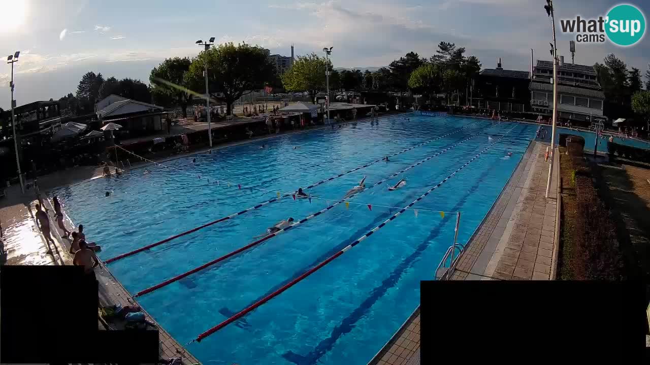 Webcam Celje – Main swimming pool