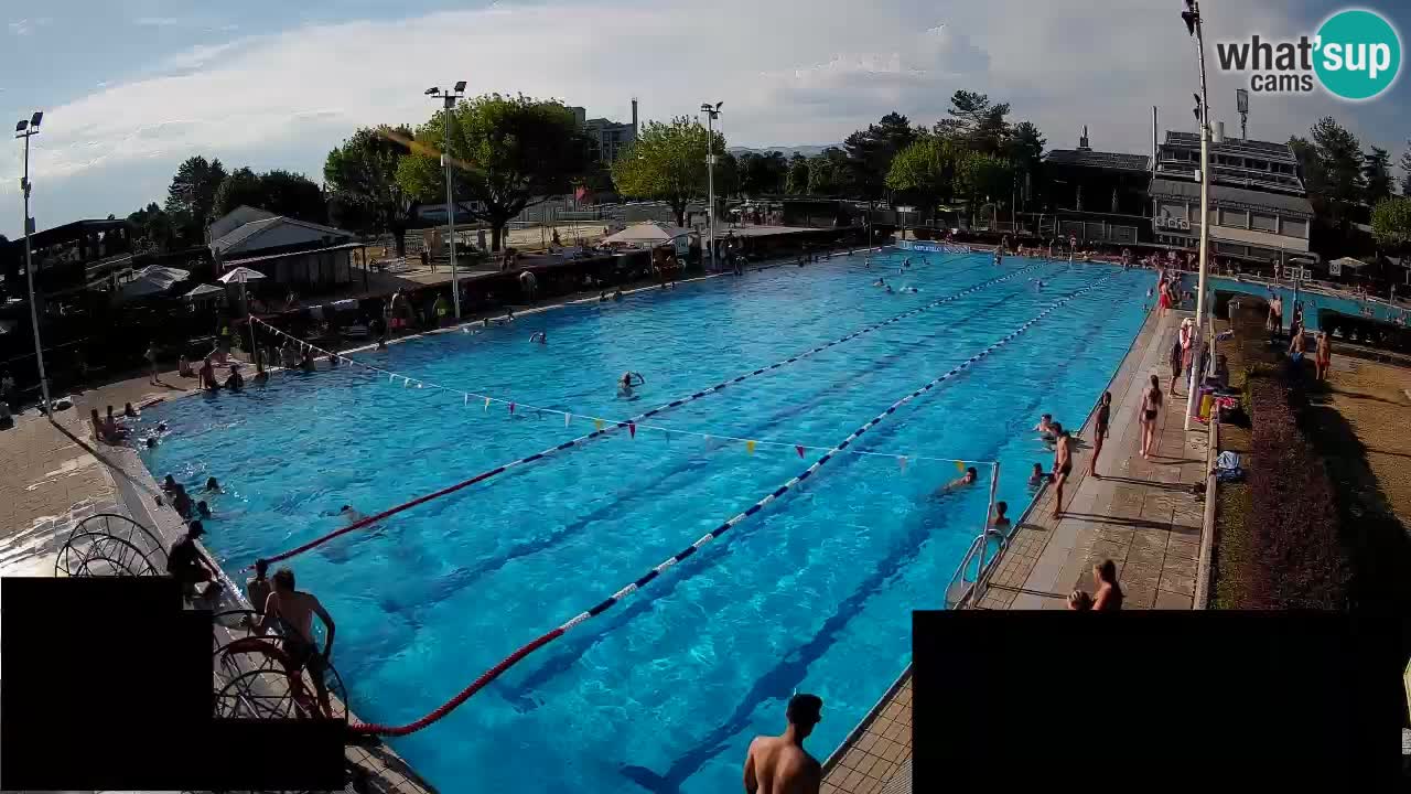 Webcam Celje – Main swimming pool