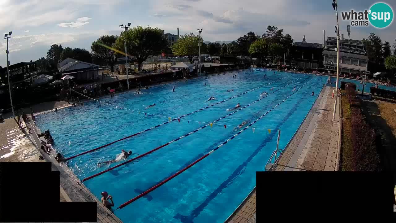 Webcam Celje – Main swimming pool