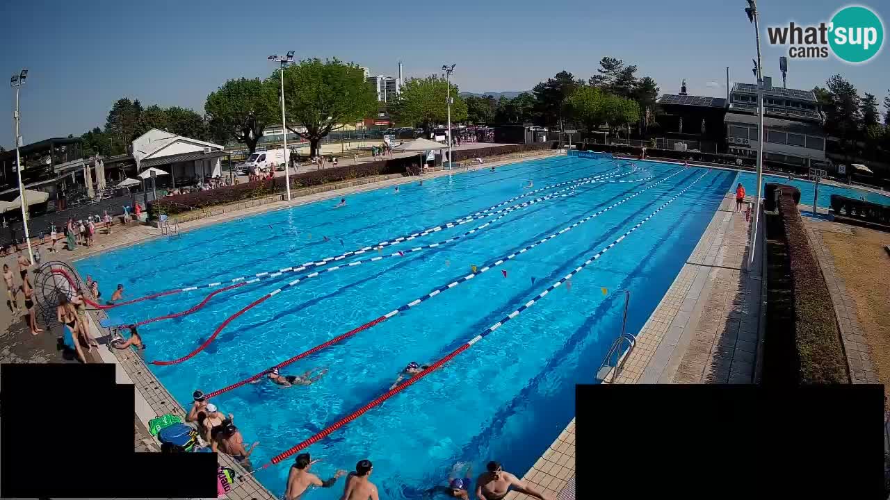 Webcam Celje – Main swimming pool
