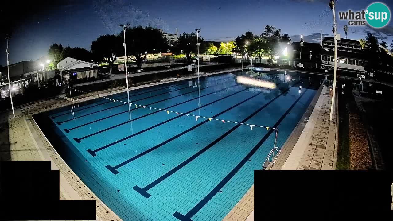 Webcam Celje – Main swimming pool