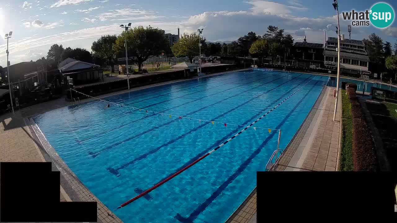Webcam Celje – Main swimming pool