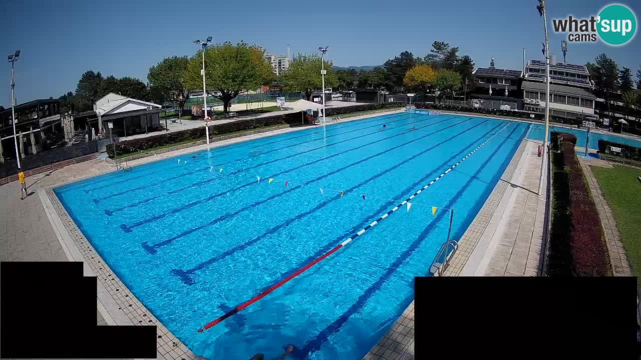Webcam Celje – Main swimming pool