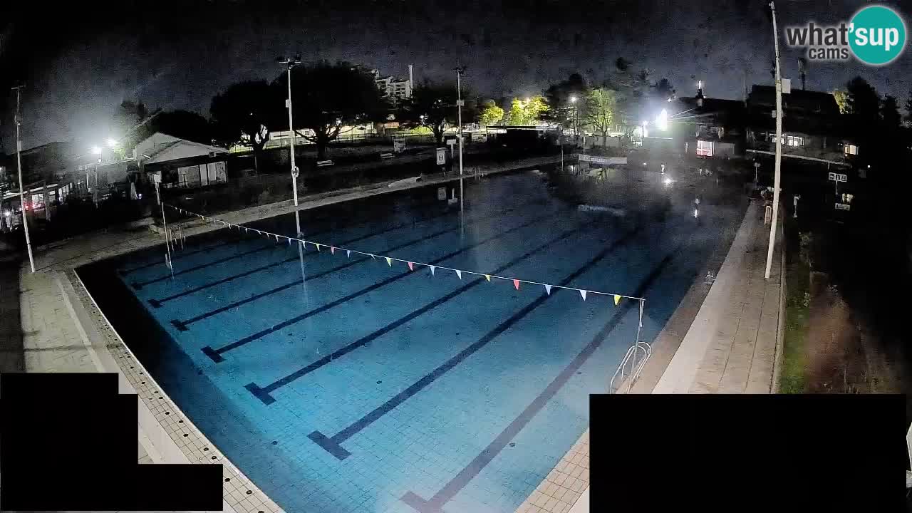 Cámara web Celje – Piscina principal