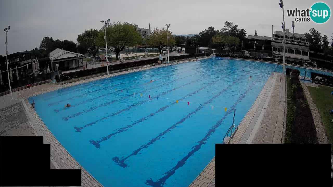 Webcam Celje – Main swimming pool