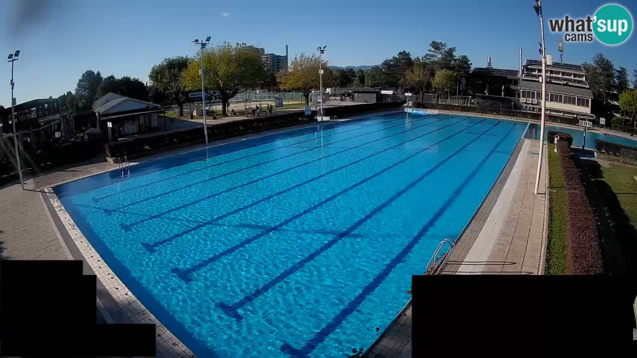 Webcam Celje – Main swimming pool