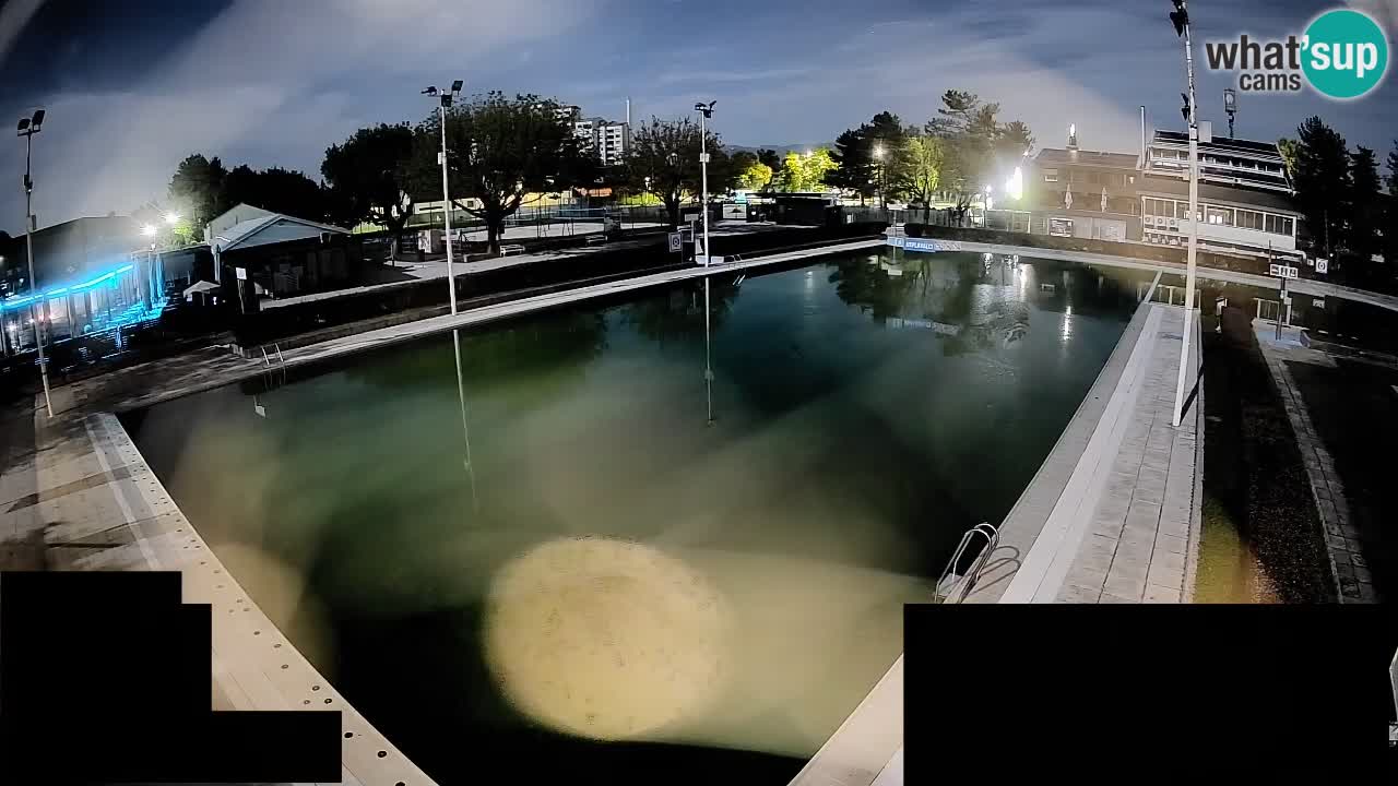 Webcam Celje – Main swimming pool